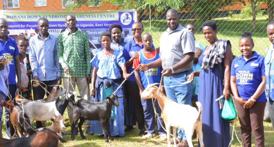 Rowans-down-syndrome-awareness-centre-hoima-uganda-east-africa_improving_livelihoods_with_goats