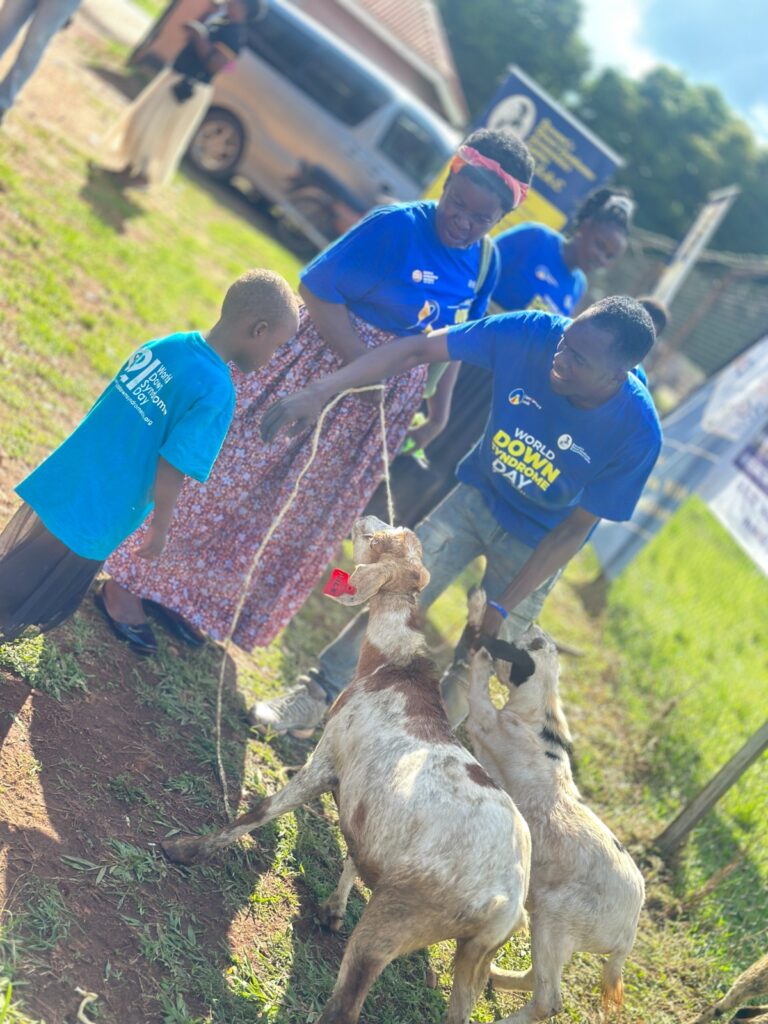Goats-Farming-at-the-Rowan's - Down syndrome Awareness Centre Hoima