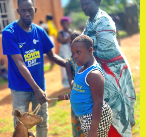 Goats-Farming-at-the-Rowan's - Down syndrome Awareness Centre Hoima