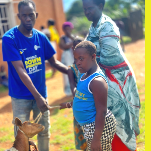 Goats-Farming-at-the-Rowan's - Down syndrome Awareness Centre Hoima